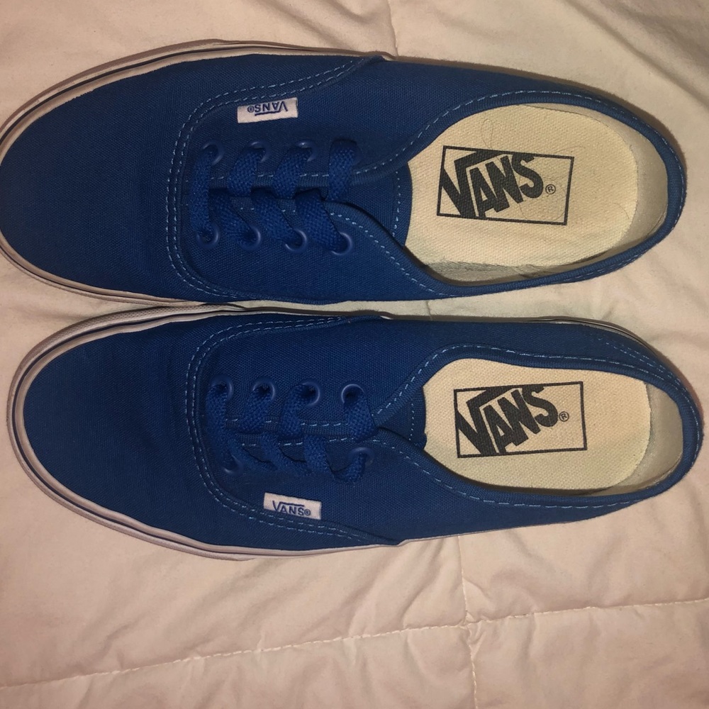 blue low top vans (custom)